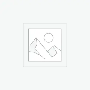 Aeropostale Grey Cargo Shorts